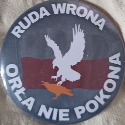 Basiab91's profile picture. Jeszcze Polska nie zginęła