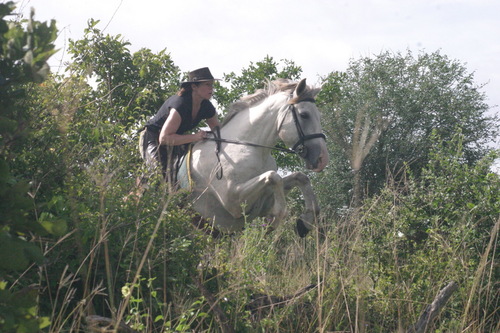 Journalist-turned media relations and comms expert; lover of horses, dogs and the African bush