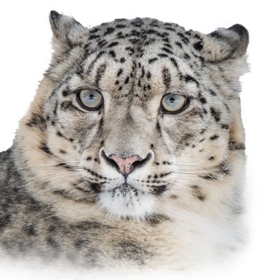 CanaydinYasar's profile picture. 