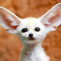 Tehran (@tehran918) 's Twitter Profile