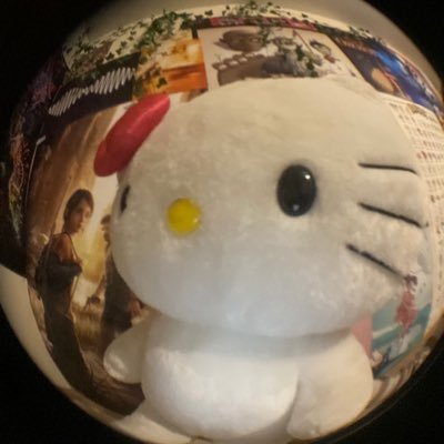 tortaderato's profile picture. medicina veterinária por ódio | #studytwt #collegetwt