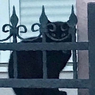 oddseer's profile picture. sociology student