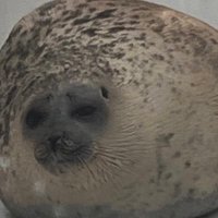 Send (@l_i_n_e_rock) 's Twitter Profile