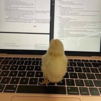 Dt: وجّدان (@clinical_dite) Twitter profile photo