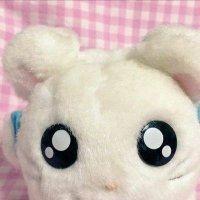 にゃぱ (@zvu0nx) 's Twitter Profile Photo にゃぱ (@zvu0nx) 's Twitter Profile Photo
