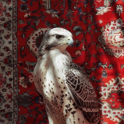 y_0xx's profile picture. اللهم صلِ وسلم على رسول الله 🩶