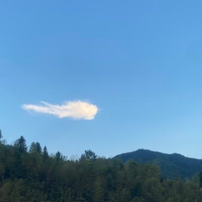 Richard63375770's profile picture. 