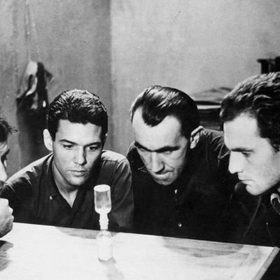 berkantdeu's profile picture. İktisatçı,Gayrimenkul Degerleme Uzmanı