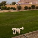 Debi Henderson - @Debi45711 - Twitter