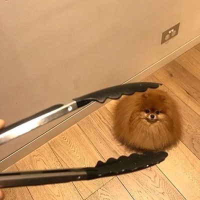 blowyourmaeum's profile picture. @dubbleichi main acc | 덥즈 & anime ☆☆