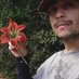 Rafa (@mirhipipteryx) Twitter profile photo Rafa (@mirhipipteryx) Twitter profile photo