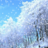 tree5tree's profile image