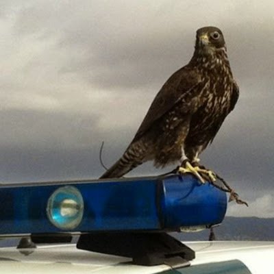 m_troy21721's profile picture. 