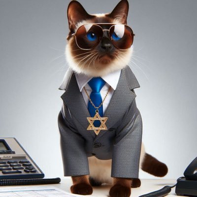 idfelines's profile picture. 