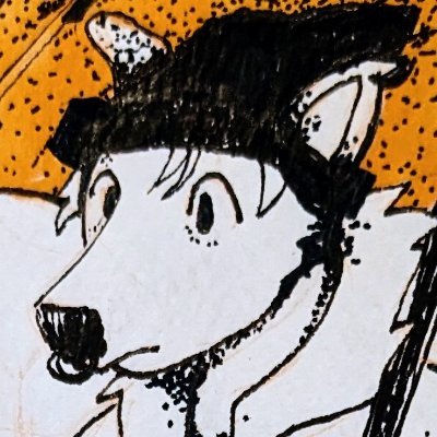 colleen laurel🦝さんのプロフィール画像