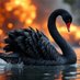 Jakob = blackswannews (@blackswannews17) Twitter profile photo Jakob = blackswannews (@blackswannews17) Twitter profile photo