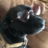 saltySusana (@susan77237285) 's Twitter Profile Photo