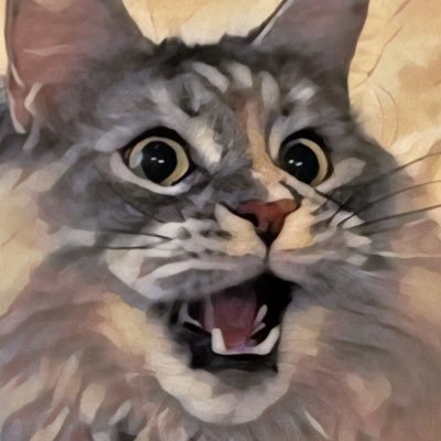 BadBadBadDonald's profile picture. 40-something, happily married, regular guy, Christian, educated business professional, veteran, ex-law enforcement and non-activist until #nevertrump