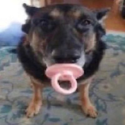 ColonEndBracket's profile picture. 