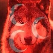 gkhan57's profile picture. “𝒊𝒚𝒊𝒍𝒊𝒌 𝒚𝒂𝒑𝒂𝒓 𝒈𝒊𝒃𝒊 𝒈𝒐̈𝒓𝒖̈𝒏𝒎𝒆𝒚𝒊𝒏; 𝒊𝒚𝒊𝒍𝒊𝒌 𝒚𝒂𝒑ı𝒏, 𝒈𝒐̈𝒓𝒖̈𝒏𝒎𝒆𝒚𝒊𝒏.” 𐱅𐰇𐰼𐰚🇹🇷🇹🇷