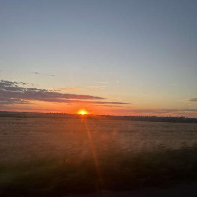 Charlot80041521's profile picture. 