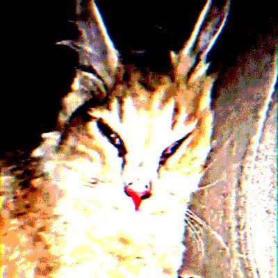 GOD'S EYES SEE ALL Profile