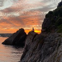 Surviving Stigma in Medicine (@stigma_in_med) 's Twitter Profile