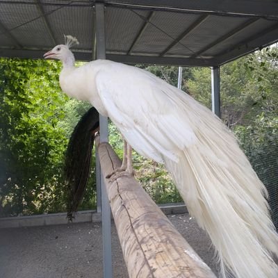 趣味のアカウント!!
美味しい料理を食べたり、工作したり、旅行したり、身近な写真とか、民芸品とかをアップと日々思ったことも徒然に書きたいと思う。