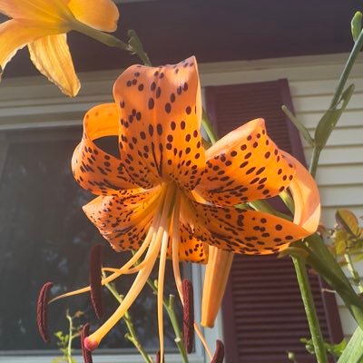 emsfil12's profile picture. 