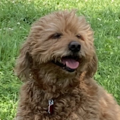 PlsVoteNov3rd's profile picture. Oldsen:  Whaddya thinkin' about?
Mac:  Girls. Naked girls.
Oldsen:  Me too.
Mac:  In a fishtank.
Oldsen:  Yeah.