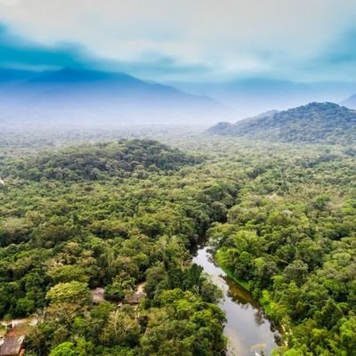 ¿Eres un experto en fantasy o simplemente un fanático apasionado? ¡No importa! Aquí tienes un lugar para demostrar tus habilidades y disfrutar del fantasy.