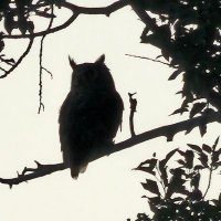 JD Jacobs (@jacobscorporate) 's Twitter Profile