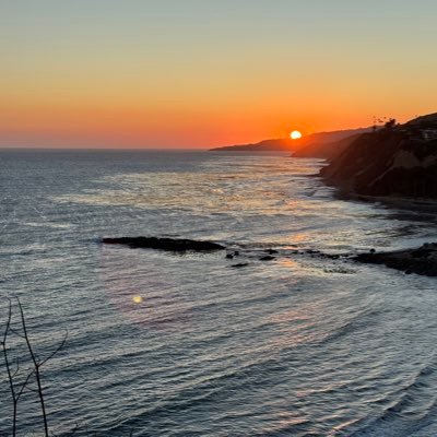 robmas13's profile picture. Mixed bull #nsfw