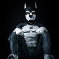 cano 🐶🦴 (@canofucks) 's Twitter Profile