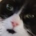IT Kholllli ๐ซ๐ฎ๐บ๐ฆ (@mikeyjk007) Twitter profile photo IT Kholllli ๐ซ๐ฎ๐บ๐ฆ (@mikeyjk007) Twitter profile photo