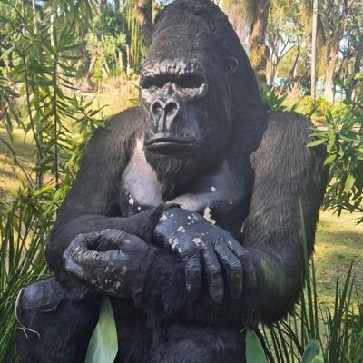 NitPedrinho's profile picture. 🤫🍆📸💪🏾