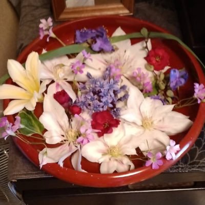 2024年2月に娘がコロナに罹患しました。試行錯誤で治療を進めています。SNS初心者です。いいねは色んな気持ちをこめてます。みんなで良くなりたい!無言フォローお許しください。