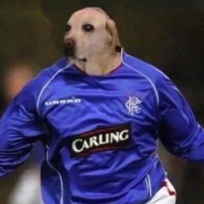 jackkot48's profile picture. Hater of the 4th down hard count | LCFC, NYG, UW