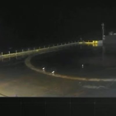 SpaceXSeagull's profile picture. killing rockets, 1 poop at a time (official bleed valve hate page)