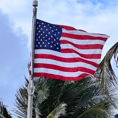 fle73707369's profile picture. 