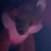 PuppyMarrow (@ack_pupp) Twitter profile photo PuppyMarrow (@ack_pupp) Twitter profile photo