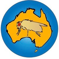 AusFly2024 (@ausfly2024) 's Twitter Profile