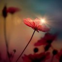 Kelley Williamson - @KelleyWill41060 - Twitter