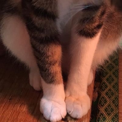 地方競馬の予想をしております。
券種は三連複です。
三連複の為の評価順位表としております。
◎Ａ◯Ｂ
▲Ｃ△Ｄ☆Ｅ
注Ｆ穴Ｇ穴Ｈ
の８頭の順位表となり
◎◯を軸にしての三連複フォーメーションにて買い目を決めております🐎