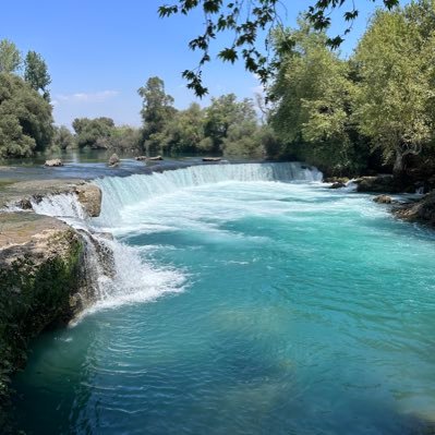 MehmetE42319501's profile picture. 