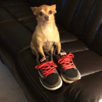 Damato (@antdamatoo) 's Twitter Profile