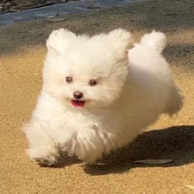 mavel_reaalli's profile picture. 