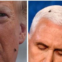 Pretty Fly on Two White Guys 🇺🇸 #AzNeverTrump (@mccainisbetter) 's Twitter Profile Photo Pretty Fly on Two White Guys 🇺🇸 #AzNeverTrump (@mccainisbetter) 's Twitter Profile Photo