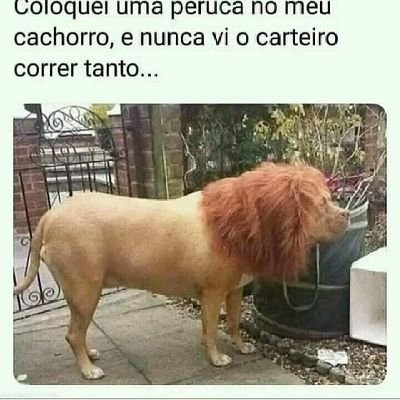 adoro uma foda gostosa meninas vem que eu tô fervendo picadoce adora