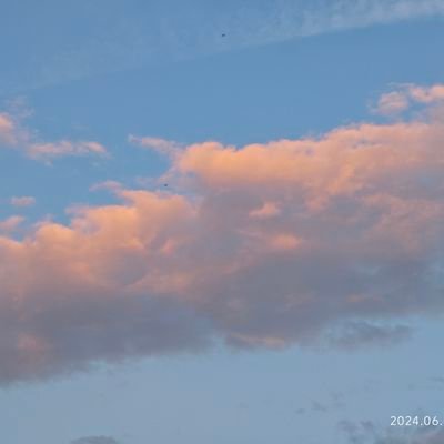 IngrassiaC77716's profile picture. 运动之王